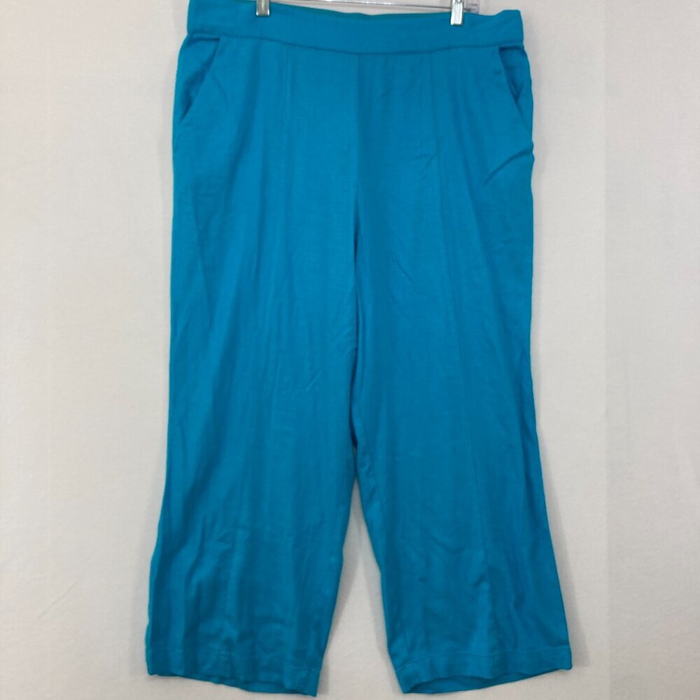 New DG2 by Diane Gilman size 1X Blue Wide Leg Linen Blend Soft Pull-on Pants